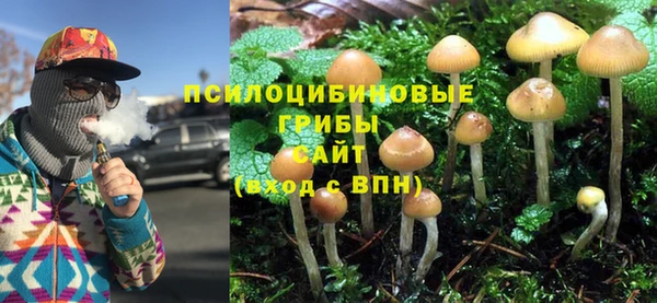 каннабис Абаза