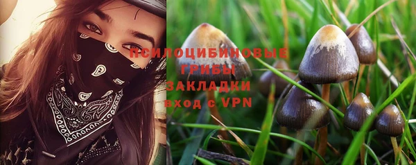 прущие крисы Абинск