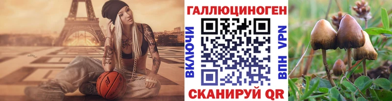 Галлюциногенные грибы мицелий Шахты